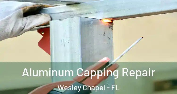  Aluminum Capping Repair Wesley Chapel - FL
