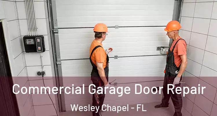  Commercial Garage Door Repair Wesley Chapel - FL