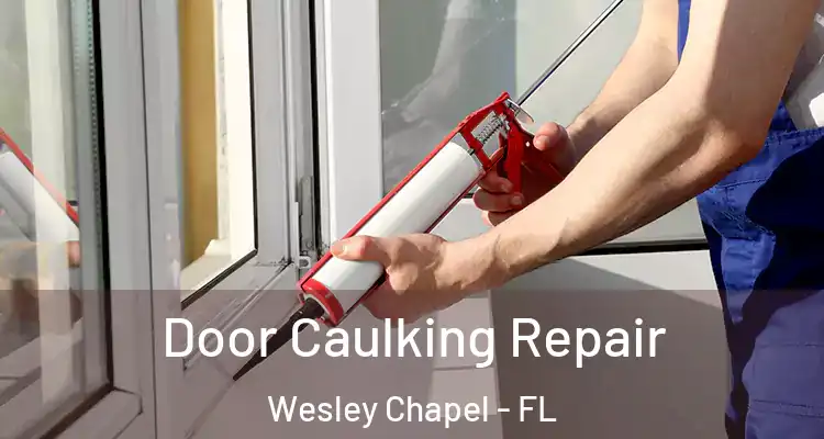  Door Caulking Repair Wesley Chapel - FL