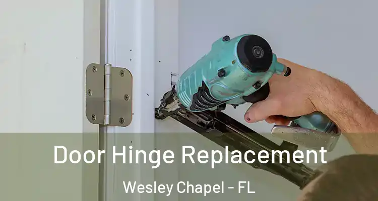  Door Hinge Replacement Wesley Chapel - FL
