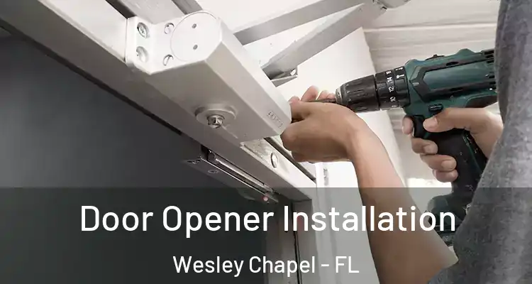  Door Opener Installation Wesley Chapel - FL
