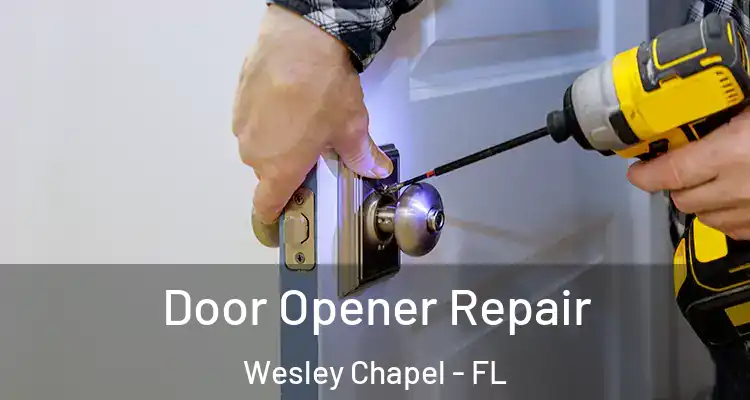  Door Opener Repair Wesley Chapel - FL