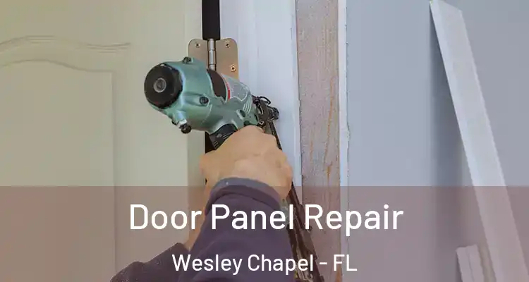 Door Panel Repair Wesley Chapel - FL