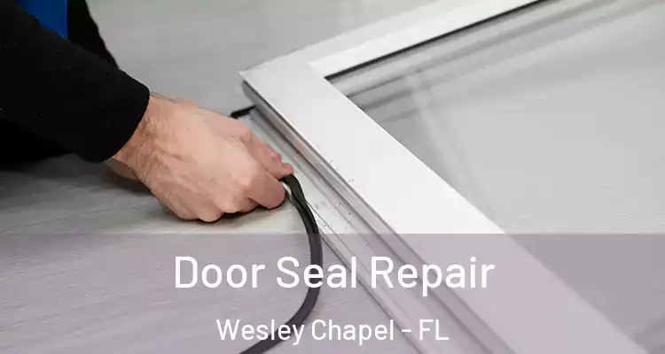  Door Seal Repair Wesley Chapel - FL
