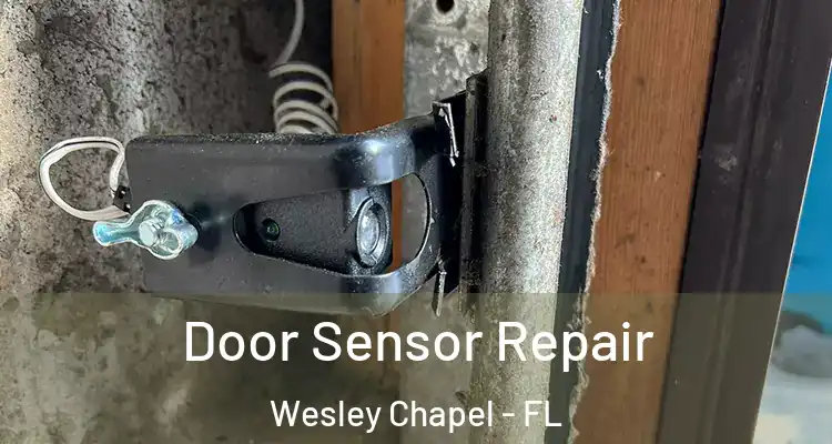  Door Sensor Repair Wesley Chapel - FL