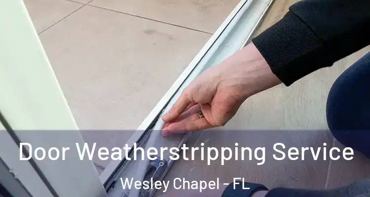  Door Weatherstripping Service Wesley Chapel - FL