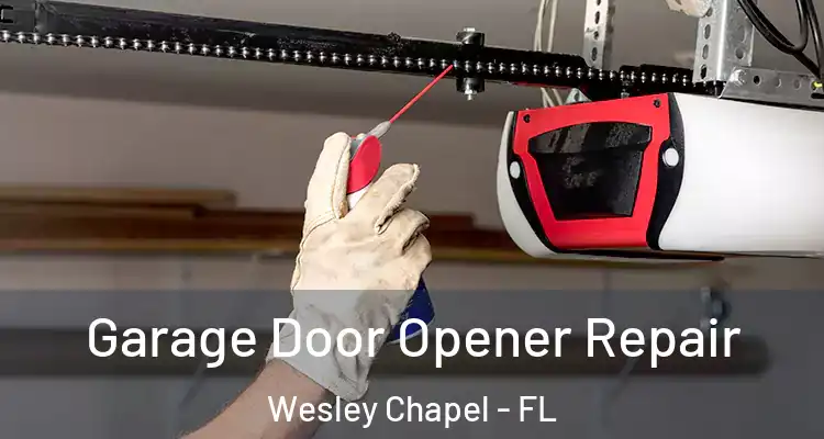  Garage Door Opener Repair Wesley Chapel - FL