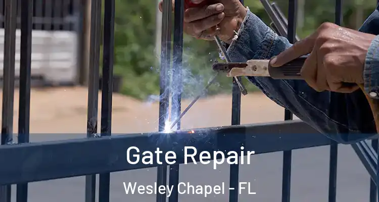 Gate Repair Wesley Chapel - FL