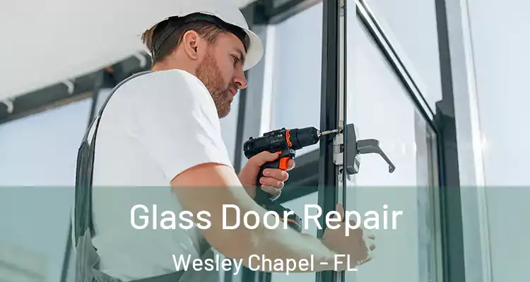  Glass Door Repair Wesley Chapel - FL