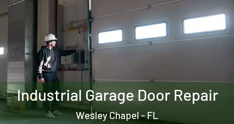  Industrial Garage Door Repair Wesley Chapel - FL