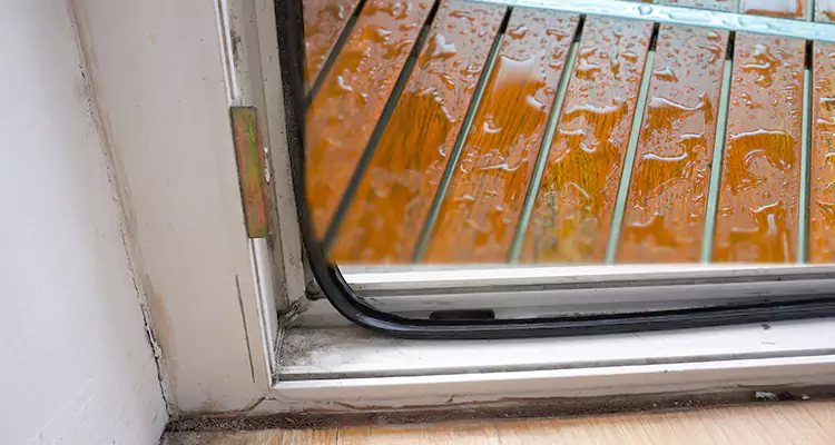 Water Leaking Wooden Patio Doors Repair in Wesley Chapel, FL