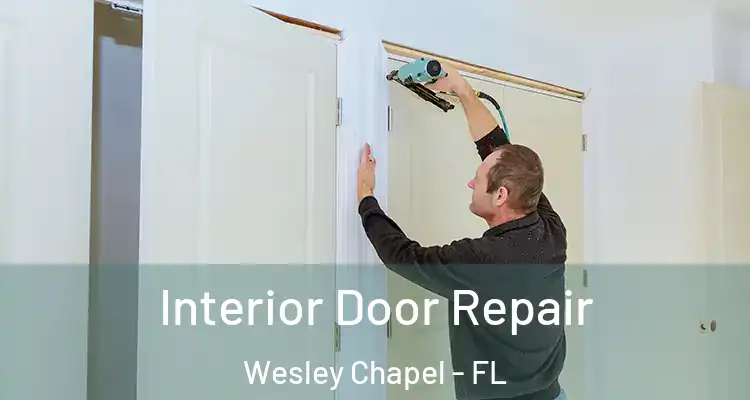  Interior Door Repair Wesley Chapel - FL