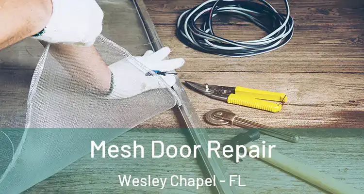  Mesh Door Repair Wesley Chapel - FL