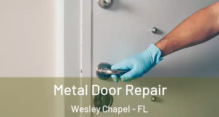  Metal Door Repair Wesley Chapel - FL