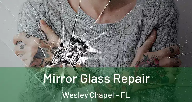  Mirror Glass Repair Wesley Chapel - FL