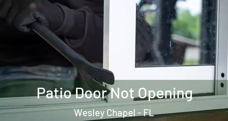  Patio Door Not Opening Wesley Chapel - FL