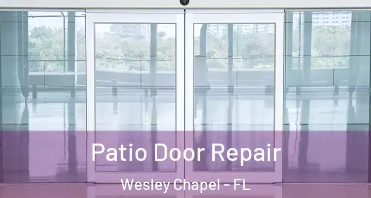  Patio Door Repair Wesley Chapel - FL