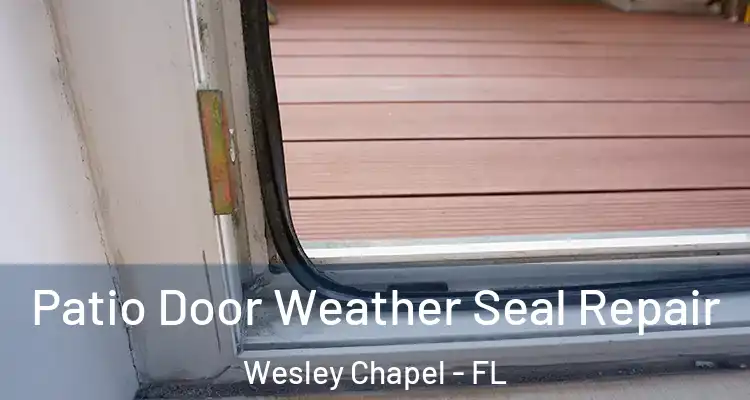  Patio Door Weather Seal Repair Wesley Chapel - FL