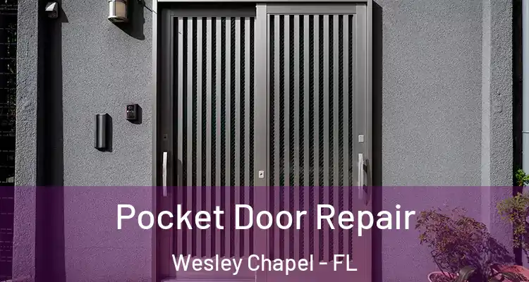  Pocket Door Repair Wesley Chapel - FL