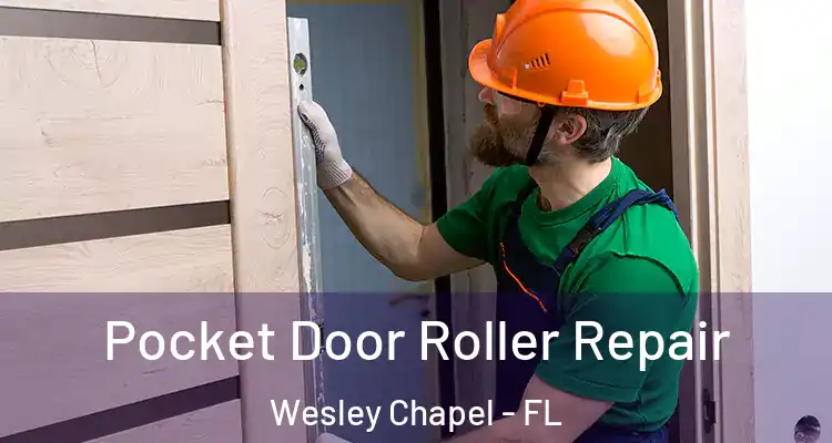  Pocket Door Roller Repair Wesley Chapel - FL