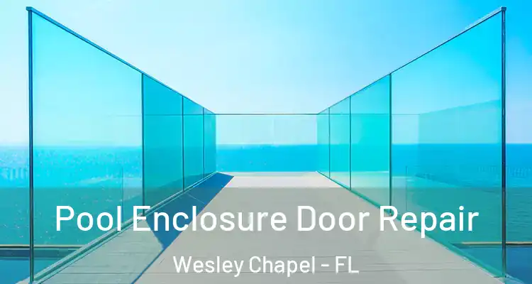  Pool Enclosure Door Repair Wesley Chapel - FL