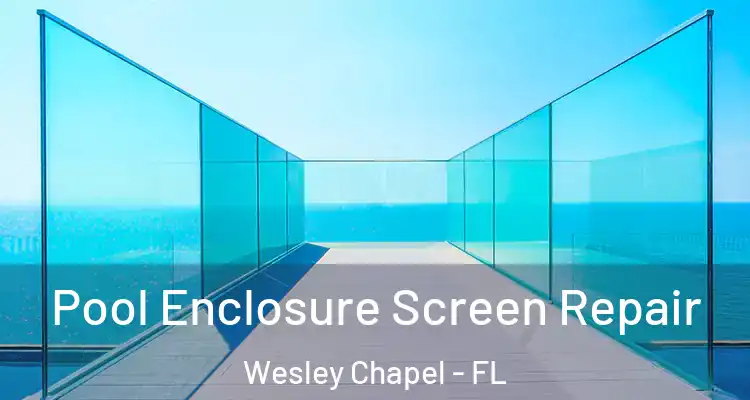 Pool Enclosure Screen Repair Wesley Chapel - FL