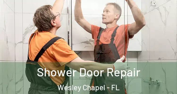  Shower Door Repair Wesley Chapel - FL