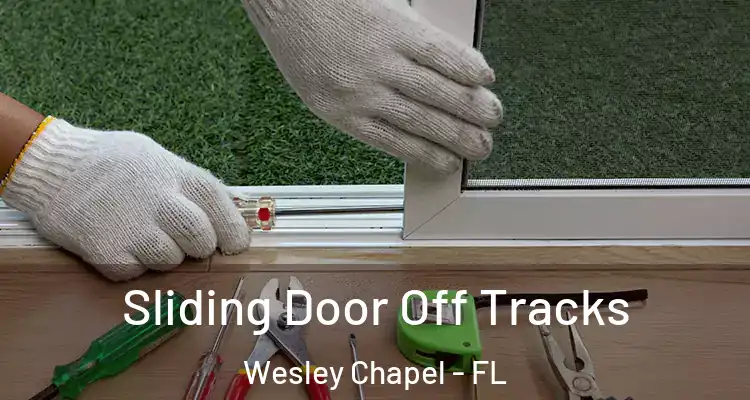  Sliding Door Off Tracks Wesley Chapel - FL
