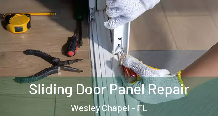  Sliding Door Panel Repair Wesley Chapel - FL