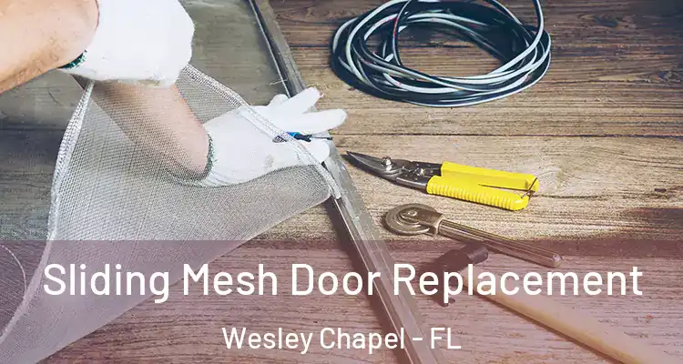 Sliding Mesh Door Replacement Wesley Chapel - FL