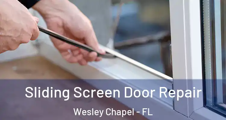  Sliding Screen Door Repair Wesley Chapel - FL