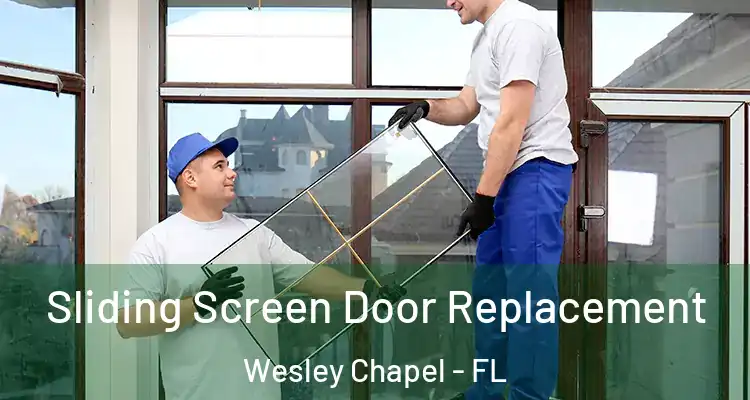  Sliding Screen Door Replacement Wesley Chapel - FL