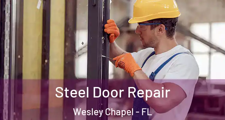  Steel Door Repair Wesley Chapel - FL