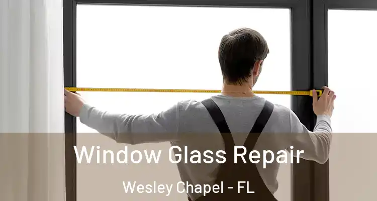 Window Glass Repair Wesley Chapel - FL