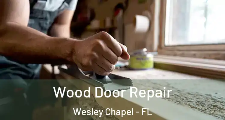  Wood Door Repair Wesley Chapel - FL